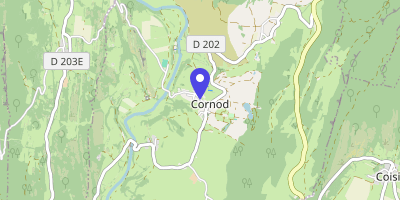 Carte OpenStreetMap — 39 rue de la Chapelle, Cornod