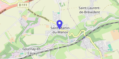 Carte OpenStreetMap — 6 rue Jacques-Paillette, Saint-Martin-du-Manoir