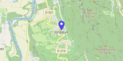 Carte OpenStreetMap — 980 route de la Charvaz, Jongieux