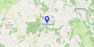 Carte OpenStreetMap — 54 rue des Écoles, Sénergues