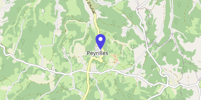 Carte OpenStreetMap — 195 route de la Chapelle, Peyrilles
