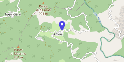 Carte OpenStreetMap — Le Village, Arbori