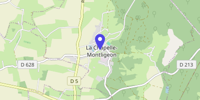 Carte OpenStreetMap — 20 rue Principale, La Chapelle-Montligeon