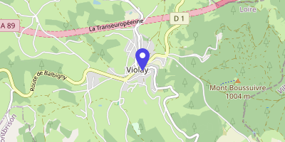 Carte OpenStreetMap — 154 rue Célestin-Linder, Violay