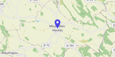 Carte OpenStreetMap — 10 place du Général-de-Laplane, Mourvilles-Hautes