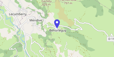 Carte OpenStreetMap — Bourg, Béhorléguy