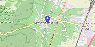 Carte OpenStreetMap — 2 rue Souvert, Gevrey-Chambertin