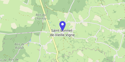 Carte OpenStreetMap — 344 route du Bourg, Saint-Bonnet-de-Vieille-Vigne