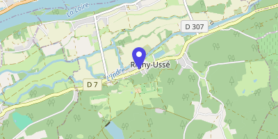 Carte OpenStreetMap — 51 rue Principale, Rigny-Ussé