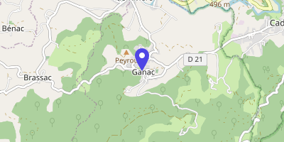 Carte OpenStreetMap — 9 route de la Barguillère, Ganac