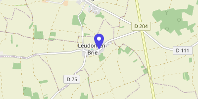 Carte OpenStreetMap — Rue Principale, Leudon-en-Brie