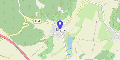 Carte OpenStreetMap — Place de la Rochefoucauld, Bligny
