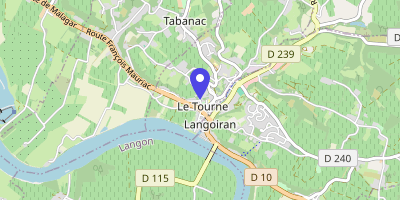 Carte OpenStreetMap — 2 chemin de Peyroutic, Le Tourne
