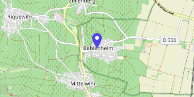 Carte OpenStreetMap — 2 rue Hoen, Beblenheim