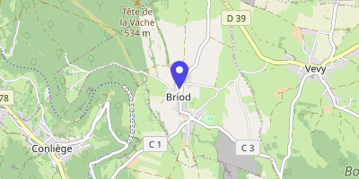 Carte OpenStreetMap — 10 place de l'Église, Briod