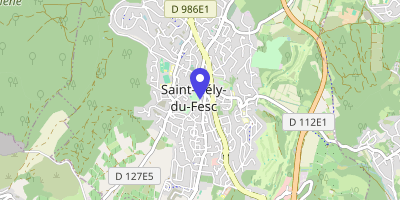Carte OpenStreetMap — 216 rue Fontgrande, Saint-Gély-du-Fesc Cedex 1
