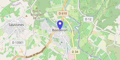 Carte OpenStreetMap — 56 avenue Frédéric-Mistral, Boisseron
