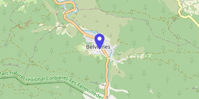 Carte OpenStreetMap — 13 rue Gaston-Bonheur, Belvianes-et-Cavirac