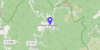 Carte OpenStreetMap — 4 Chemin de écoles, Saint-Bresson