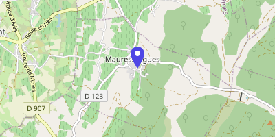 Carte OpenStreetMap — 9 A chemin des Écoliers, Mauressargues