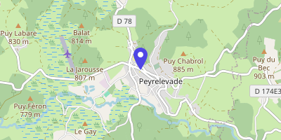 Carte OpenStreetMap — 55 rue du Limousin, Peyrelevade