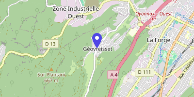 Carte OpenStreetMap — 1 place de la Mairie, Géovreisset