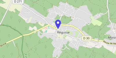 Carte OpenStreetMap — 48 Cours Alexandre-Gariel, Régusse