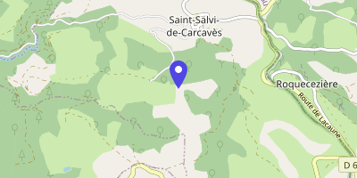 Carte OpenStreetMap — Le Bourg, Saint-Salvi-de-Carcavès