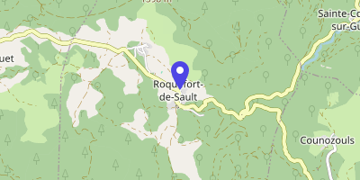Carte OpenStreetMap — 5 rue de l'Ancienne-Gendarmerie, Roquefort-de-Sault