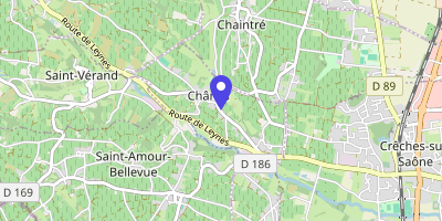 Carte OpenStreetMap — 81 montée du Village, Chânes
