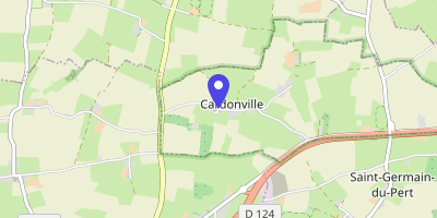 Carte OpenStreetMap — 9 chemin du Cardonneret, Cardonville