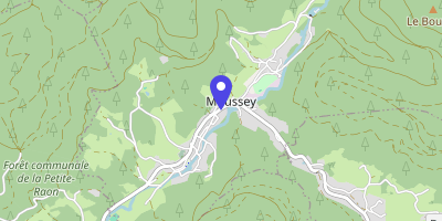Carte OpenStreetMap — 66 rue René-Laederich, Moussey