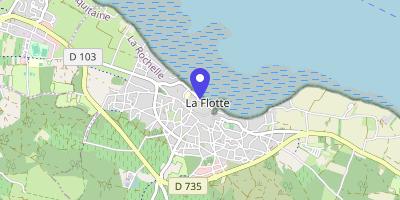 Carte OpenStreetMap — 25 cours Félix-Faure, La Flotte