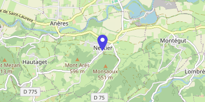Carte OpenStreetMap — 25 rue de la Placette, Nestier