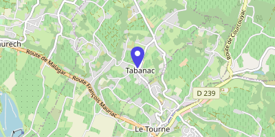 Carte OpenStreetMap — 1 place de l'Église, Tabanac