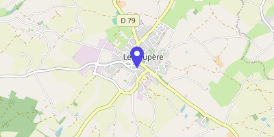 Carte OpenStreetMap — 6 rue Henri-Biraud, Le Boupère