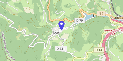 Carte OpenStreetMap — 11 place de la Mairie, Joux