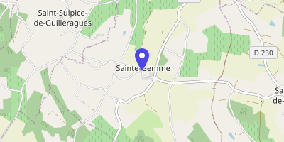 Carte OpenStreetMap — 309 route du Bourg, Sainte-Gemme