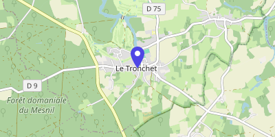 Carte OpenStreetMap — 2 rue du Baillage, Le Tronchet