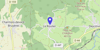 Carte OpenStreetMap — 101 rue des Vieux-Champs, Le Roulier