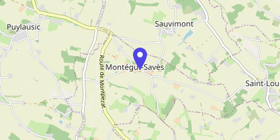 Carte OpenStreetMap — 238 rue du Centre, Montégut-Savès
