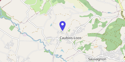 Carte OpenStreetMap — 480 route de l'Église, Caubios-Loos