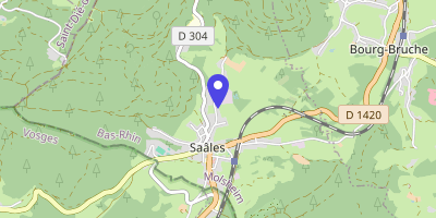 Carte OpenStreetMap — Saales
