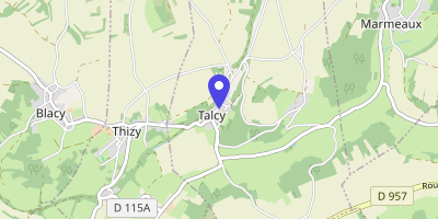 Carte OpenStreetMap — 22 Grande-Rue, Talcy