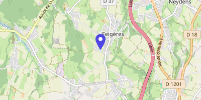 Carte OpenStreetMap — 152 chemin des Poses-du-Bois, Feigères Cedex
