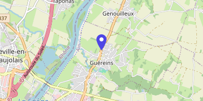 Carte OpenStreetMap — 176 route de Thoissey, Guéreins